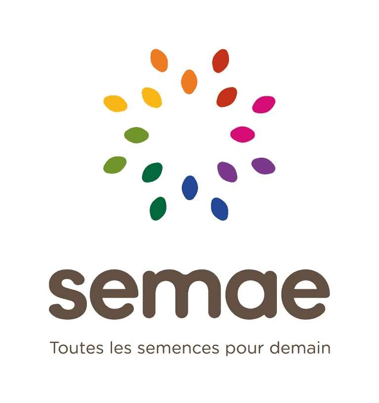 Semae